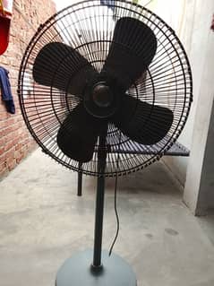 pedestal fan for sale