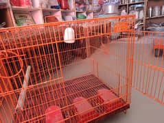 birds cage
