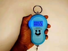 Digital Hanging Weight Scale 50kg Portable Meat Weighing Machine