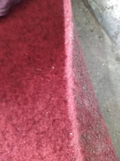Red carpet 18feet x 12feet