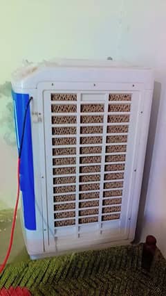 Super White 100% pure copper full jambo size