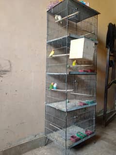Cage With Birds for Sale