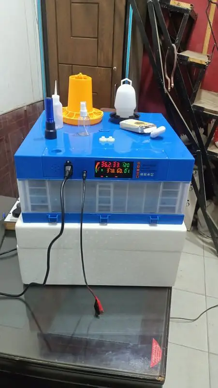 Incubator|high quality|different size|Sami and fully automatic — photo 4