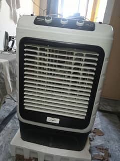 royal 12 volt