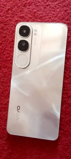 vivo y200 8+8/256