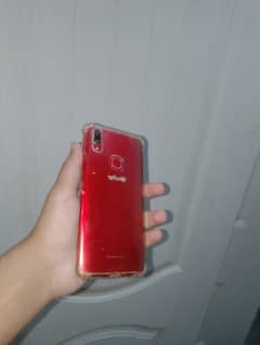 vivo