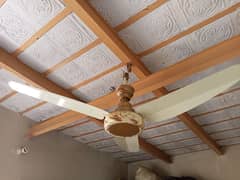 parwaz fans copper 100%