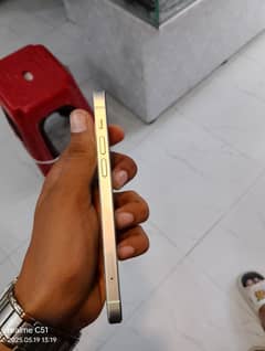 Iphone 12 in low budget