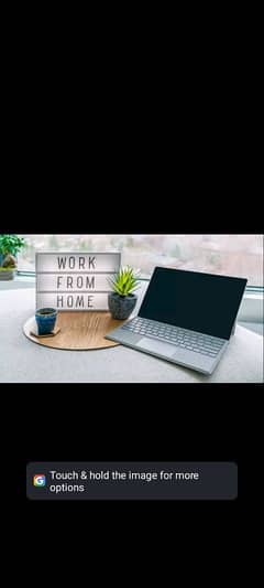 We are hiring a fresh female for online work . urgent need staff