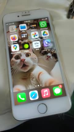 iphone 7 PTA prove