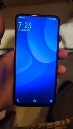 vivo