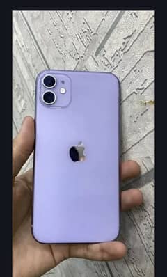 I phone 11 dual pta approved