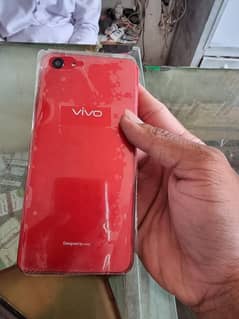 vivo