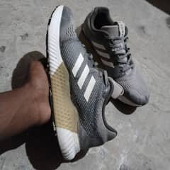 Addidas shoes