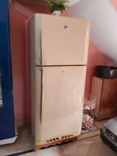 Full size refrigerator PEL
