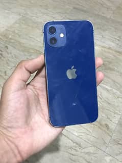 iphone 12 back crack