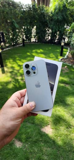 iPhone