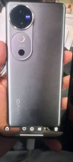 vivo