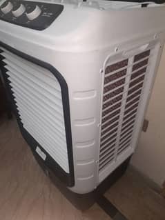 royal room cooler