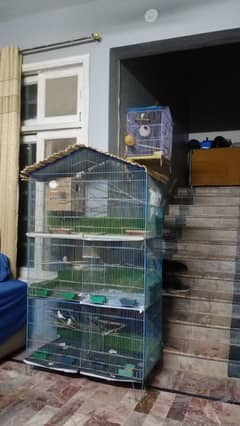 cage with finchies