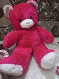 Teddy bear big size