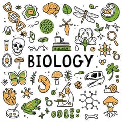 ENGLISH, URDU, PHYSICS, ISLAMC STUDIES,BIOLOGY,SCIENCE,FROM CLASS 7-10