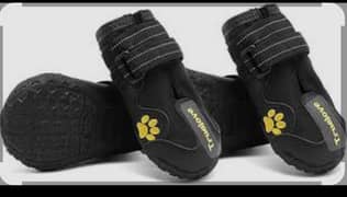 Dog shoes