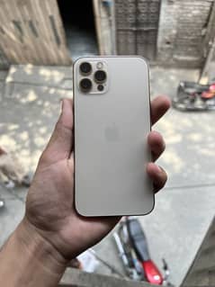iphone 12 pro
