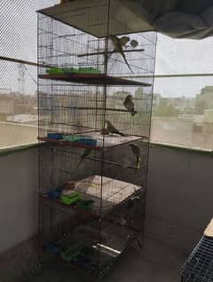 birds cage