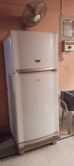 Sharp Fridge