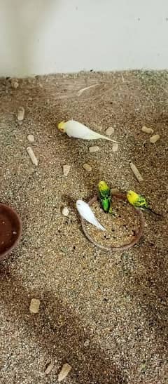 Handmade