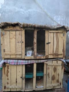 Cages for sale Big size