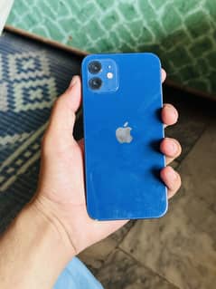 iPhone 12 128Gb FU