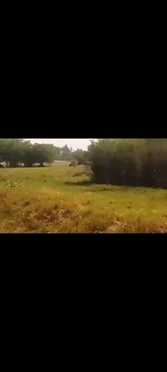 40 kanal land for sale best for farm house