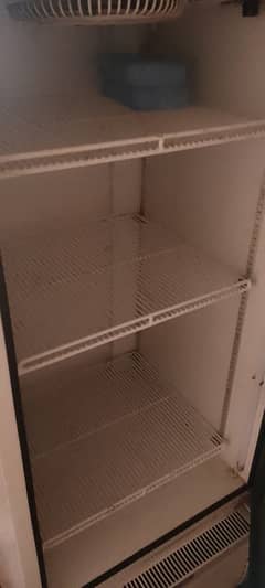 Belkul fresh hai intercool . 0320-6620978