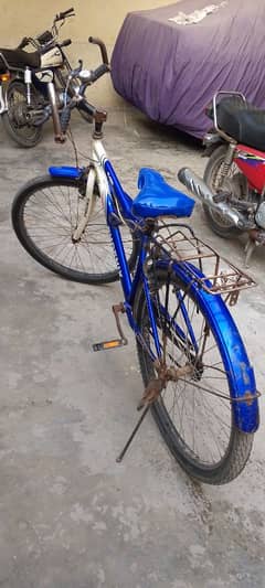 phone number 03236113993