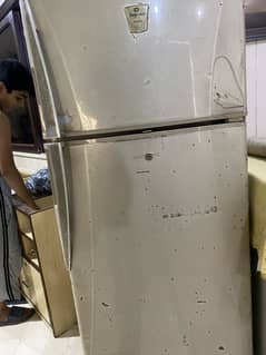 Fridge