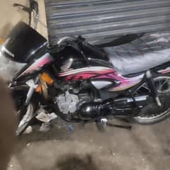 bhai sab okay ha