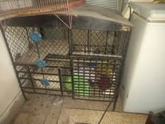 Bird cages