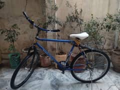 stunt cycle