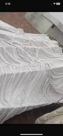 Kanopi