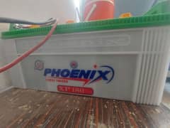 Phoenix Battery with UPS