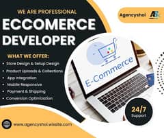 A professional store devolper and desiger with 3 years of experience
