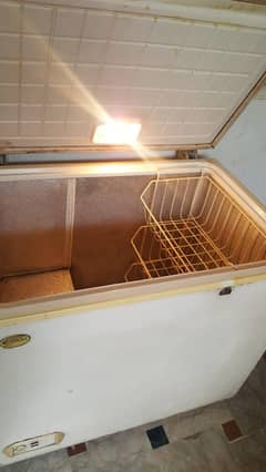 Waves Deepfreezer 1 door in Excellent condition Perfectly Chilling