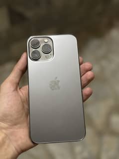 13 pro max