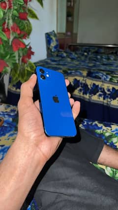 Iphone 12 jv