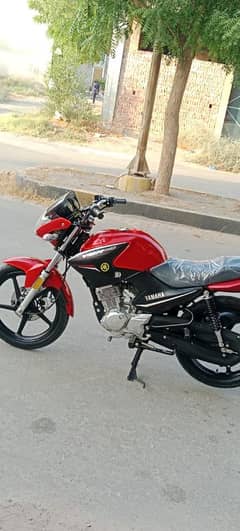 Yamaha YBR 125 model 2025