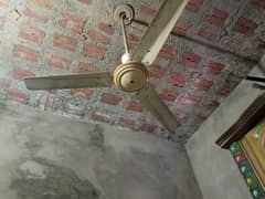 3fan hai chalta hai