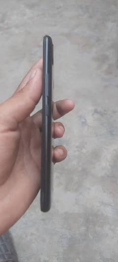 fresh