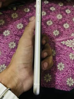 Iphone 11 white color